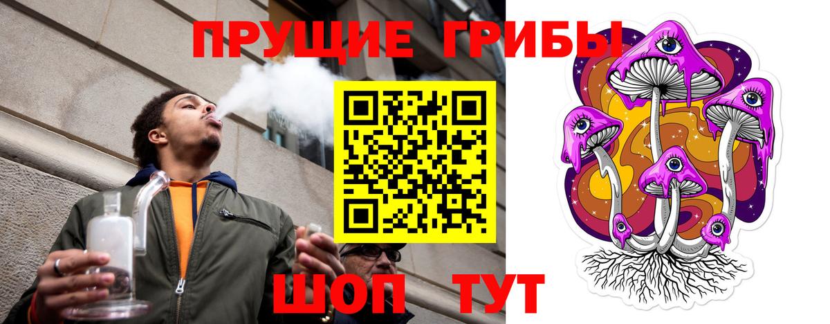 Галлюциногенные грибы Cubensis Урюпинск