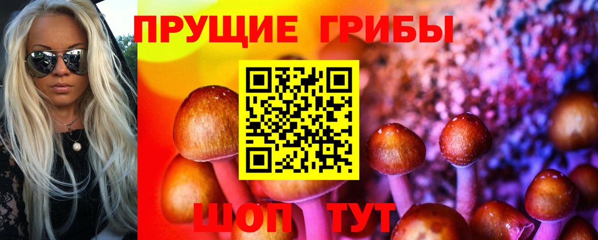 Урюпинск  Галлюциногенные грибы мицелий  Вход с VPN 